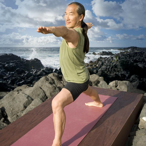 Power Yoga - Strength with Rodney Yee (DVD, exercise, Gaiam