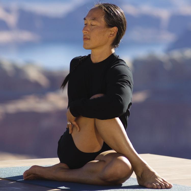 Rodney Yee's Yoga Core Cross Train DVD